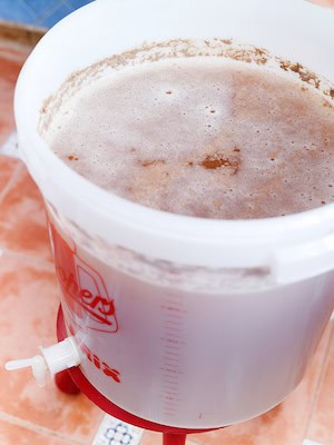 Cubo Fermentación Cerveza