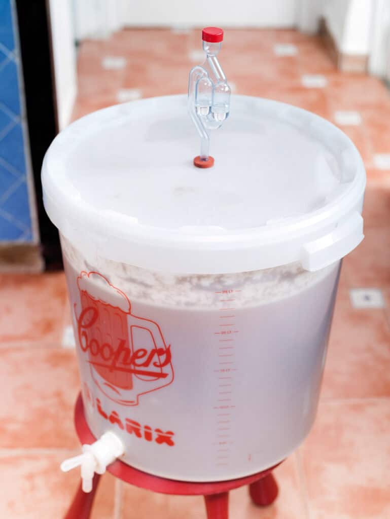 Fermentación Cerveza