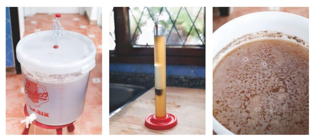 fermentación cerveza