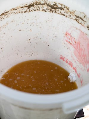 como hacer cerveza